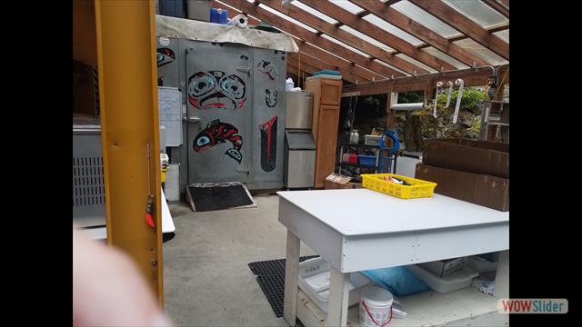 Fish prep and flash freezer at the lodge