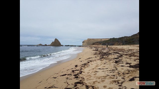 Mel in the distance on the beach talking to the fish