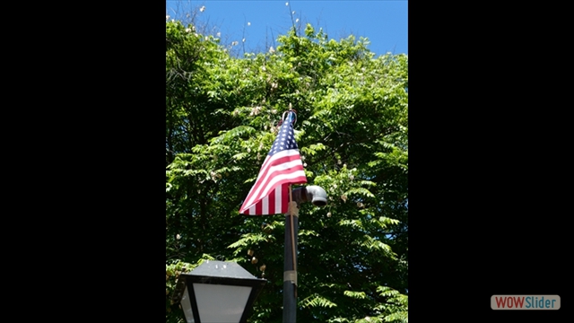 Proudly Flown